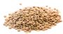 Lencse Magcentrum 500g